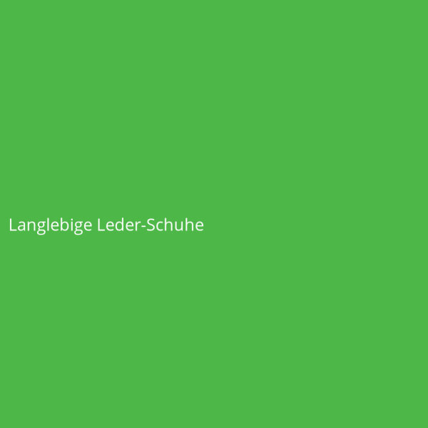 Langlebige Leder-Schuhe