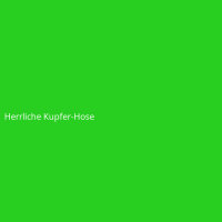 Herrliche Kupfer-Hose